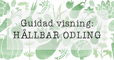 Hållbar odling