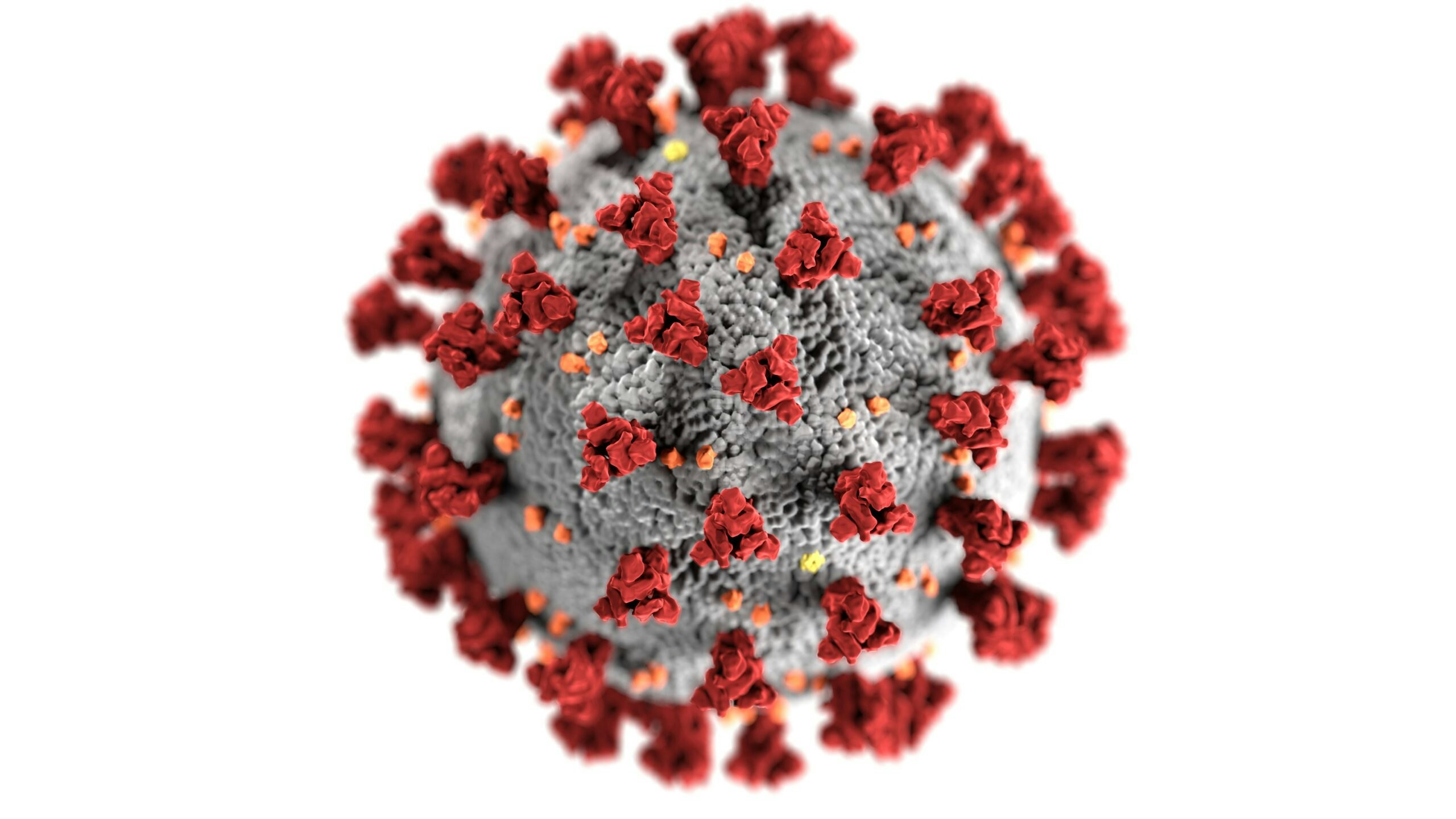 Studiematerial om vaccinering mot covid-19