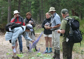 Botanikkurs på Gotska Sandön, 27 juni – 2 juli 2021