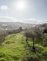 Webinar – Peaceful Harvest