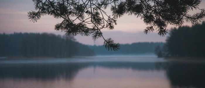 Samtal i sorg – ett samtalsmaterial