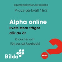 Alpha Online