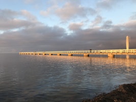 Folkdans på Ribban i Malmö sommaren 2021