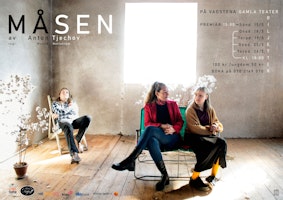 Teater: Måsen