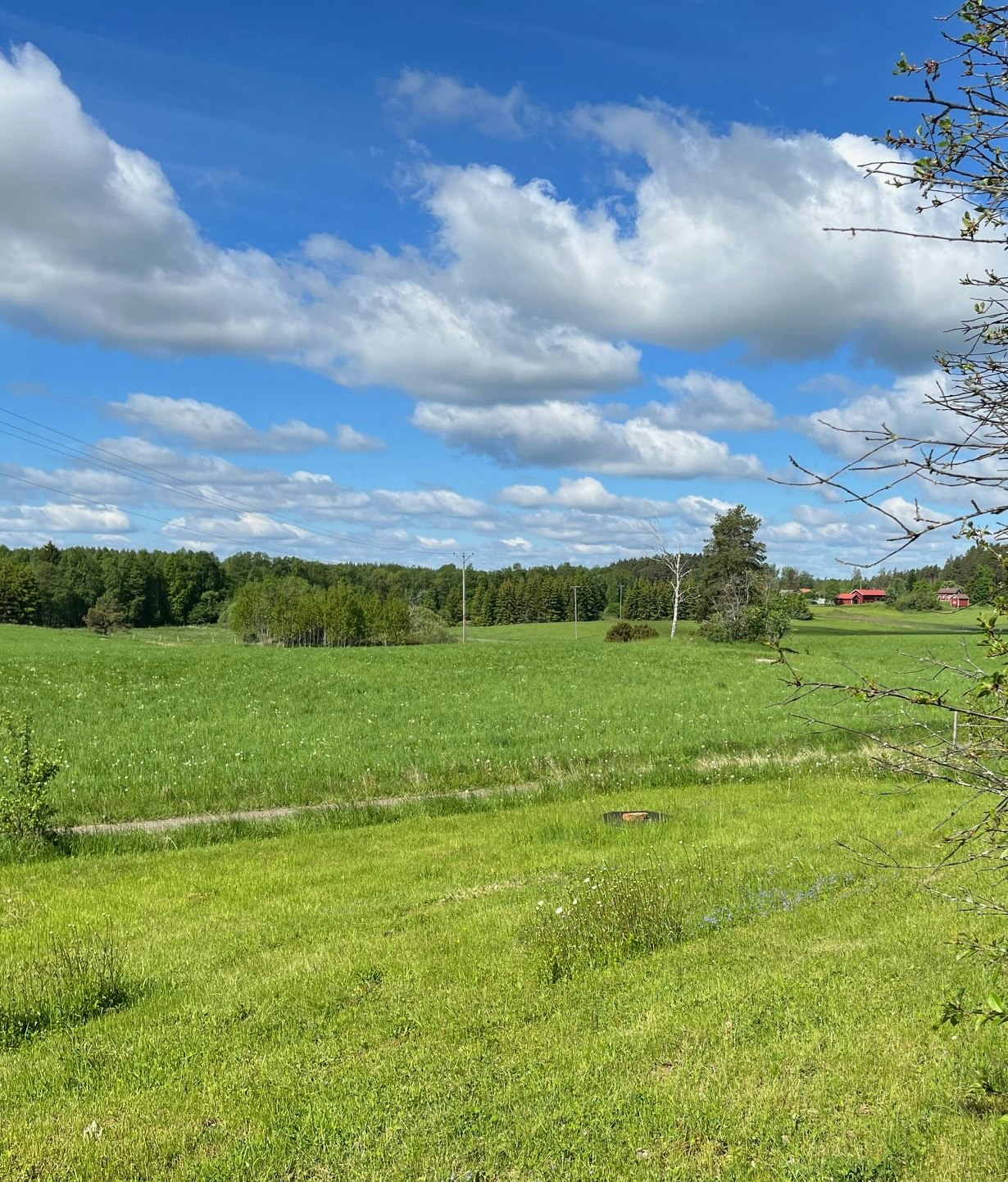 100-års Spelmansstämma i Sörmland