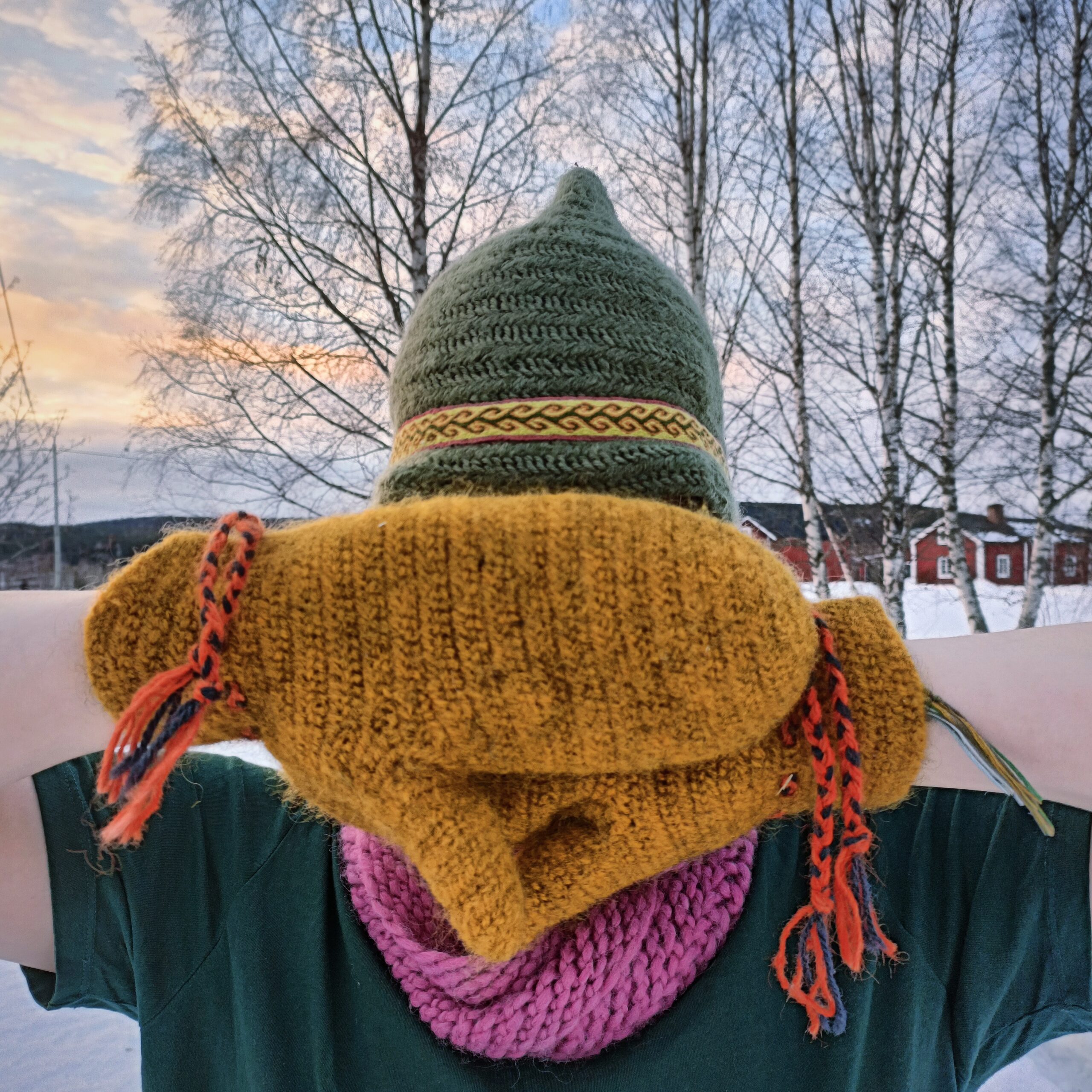 Person i grön hatt och gul halsduk vänd bort, mot ett snölandskap med kala träd och ett hus i bakgrunden.