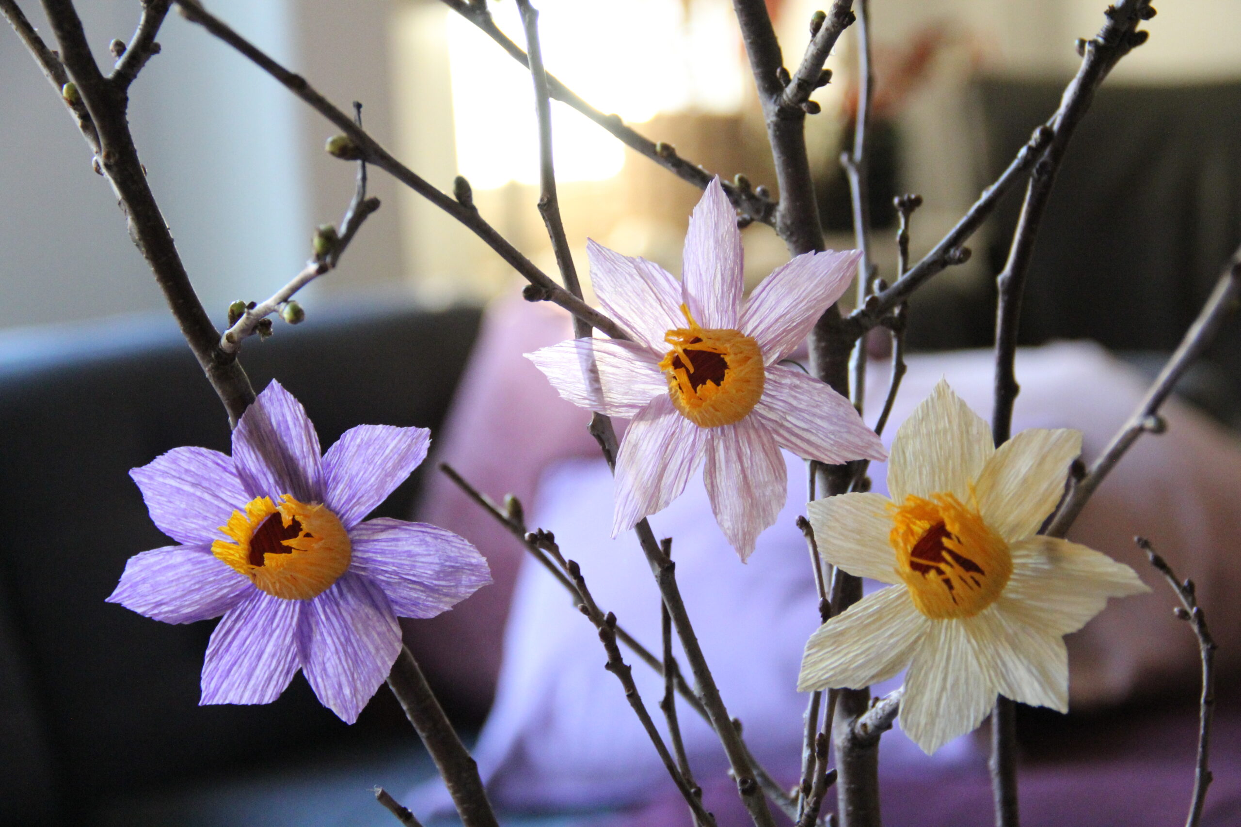 Tre pappersblommor, i lila, rosa och vitt, med gula mittpunkter är fästa på tunna, kala grenar inomhus.