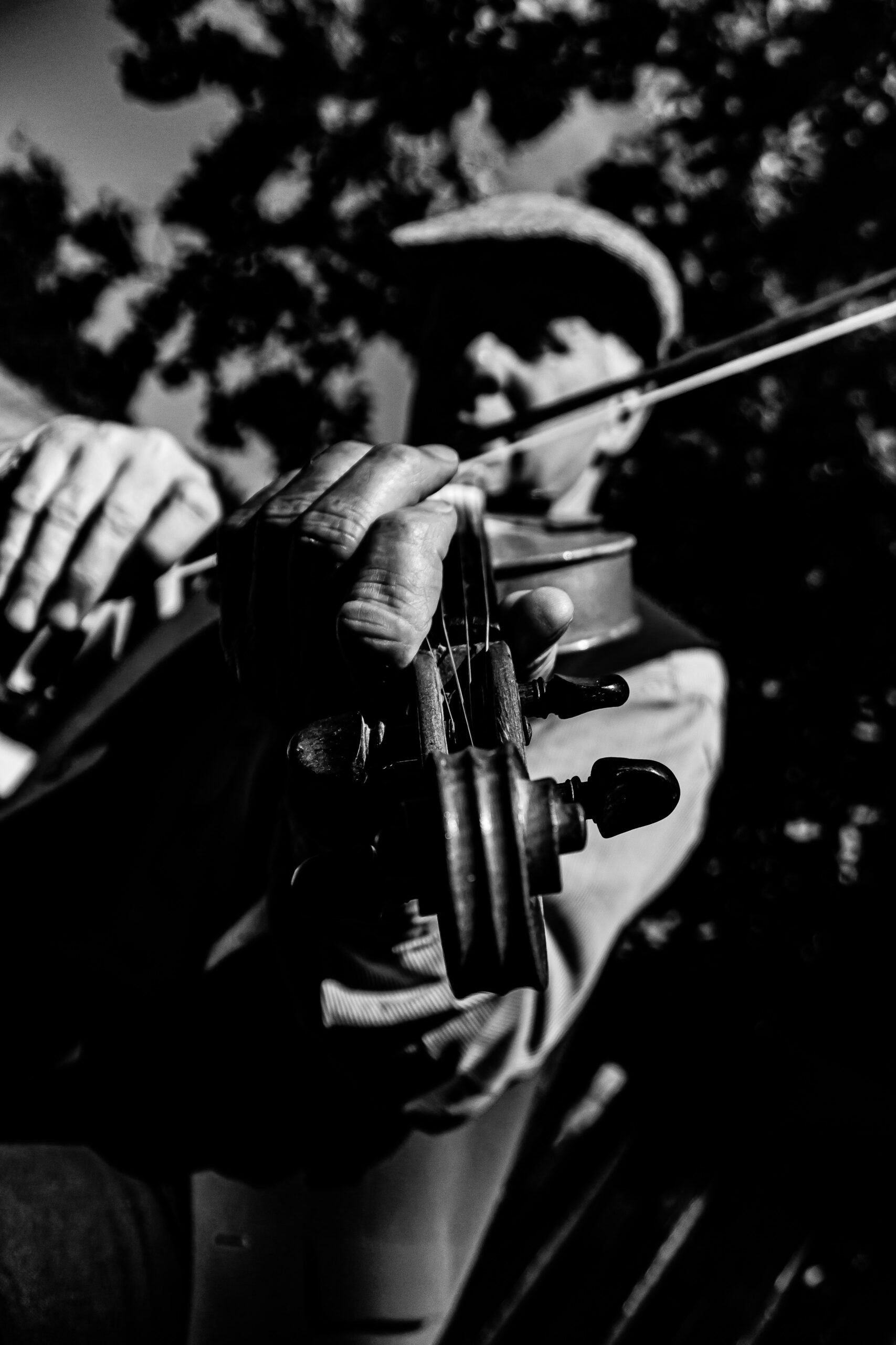 Slottsskogsstämman, Göteborg