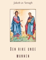 Den rike unge mannen