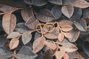 Marriage Preparation in English Online – January 2026