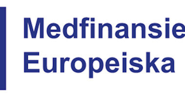 Digitalisering för asylsökande – erfarenheter, resultat och lärdomar