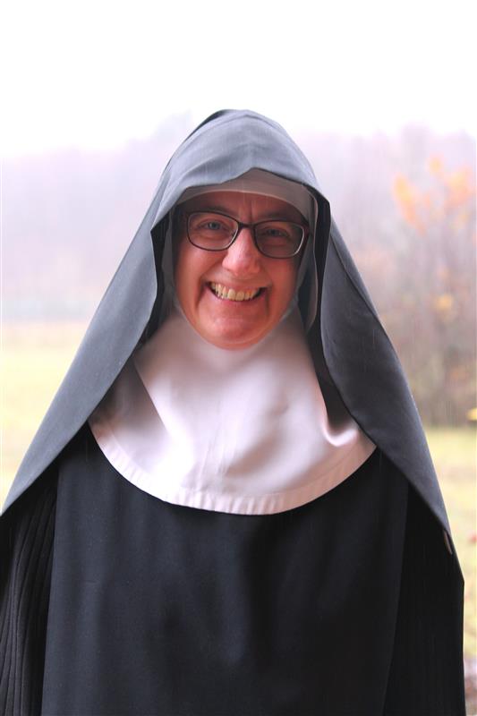 Inzoomat – Att slå rot