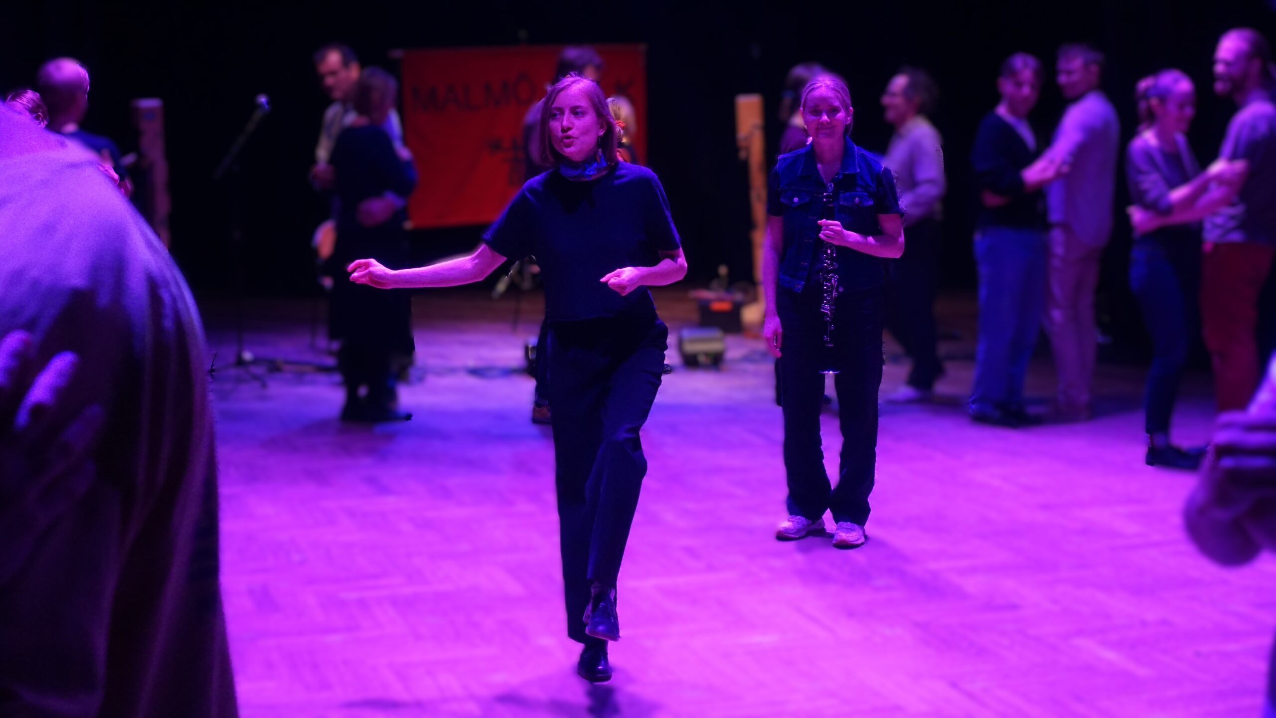 Fortsättningskurs i folkdans – dialektala sväng och variationer